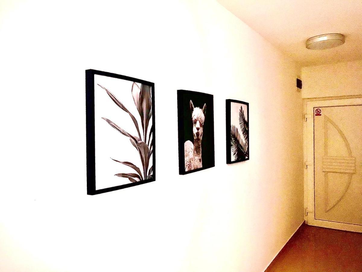 Vila Palit 497 D Apartment E Buitenkant foto